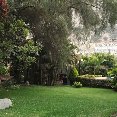 jardines