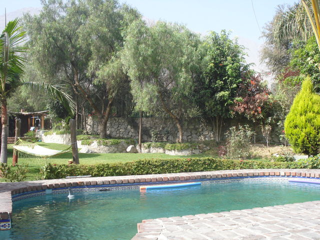 relax