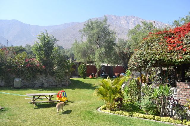 JARDINES