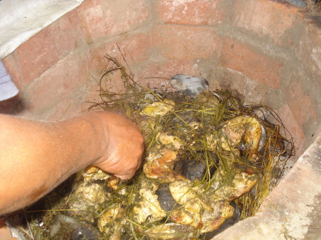 PACHAMANCA